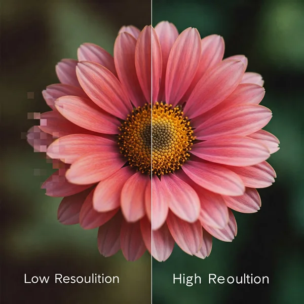 Resolution Comparison Daisy